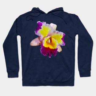 Yellow and Magenta Cattleya Orchid Hoodie